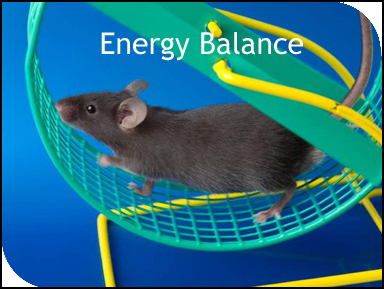 Energy