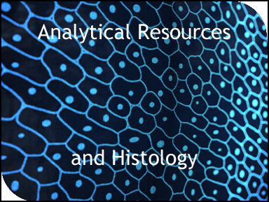 Analytical Resources and Histology